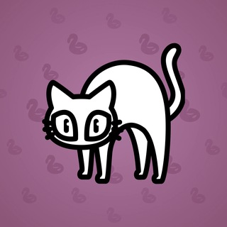 Scared Cat #12441