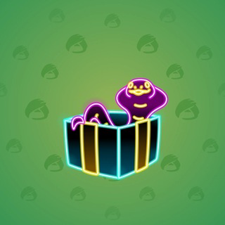 Snake Box #46994