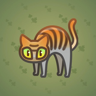 Scared Cat #17652