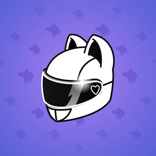 Neko Helmet #7083