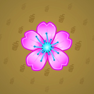 Sakura Flower #15560