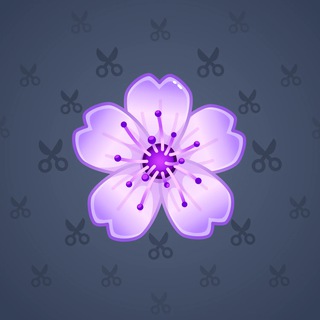 Sakura Flower #84794