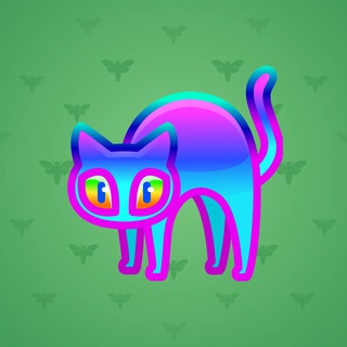 Scared Cat #12842