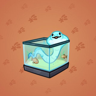 Snake Box #62604
