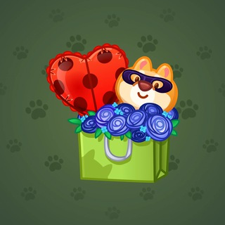 Joyful Bundle #49805