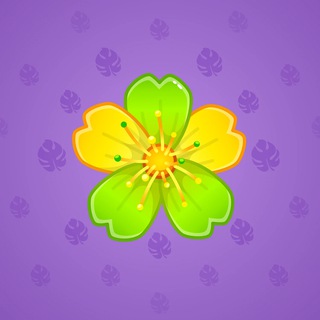 Oxalis