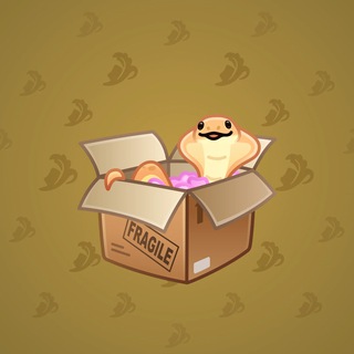 Snake Box #6583