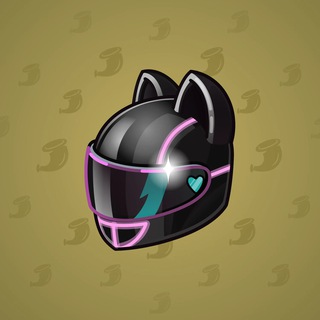 Neko Helmet #998