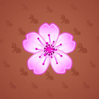 Sakura Flower #83852