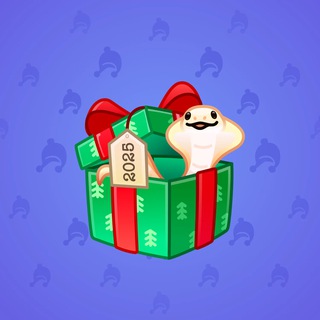 Snake Box #168714