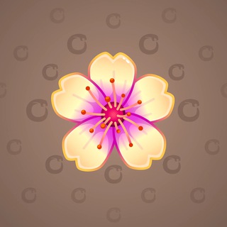 Sakura Flower #61177