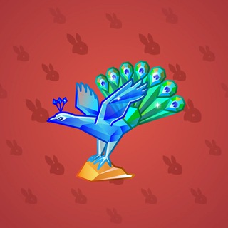 Rare Bird #1697