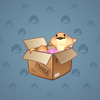 Snake Box #126569
