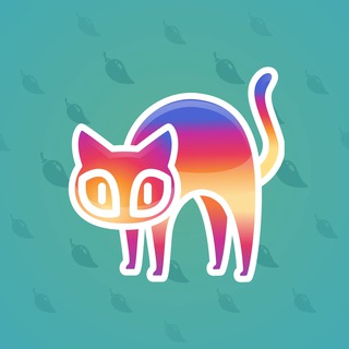 Scared Cat #3332