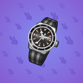 Swiss Watch #24225