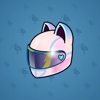 Neko Helmet #12536
