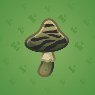 Spy Agaric #30498