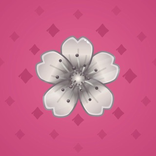 Sakura Flower #70848