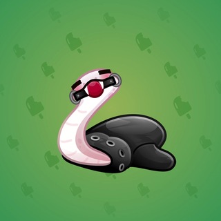 Pet Snake #180961