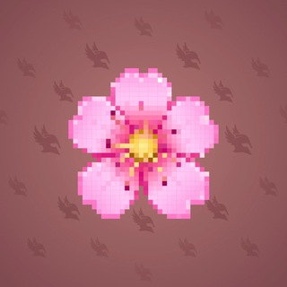 Sakura Flower #23800