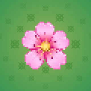 Sakura Flower #21168