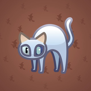 Scared Cat #17963