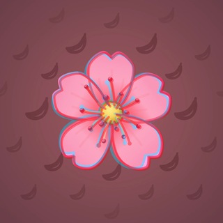 Sakura Flower #16182