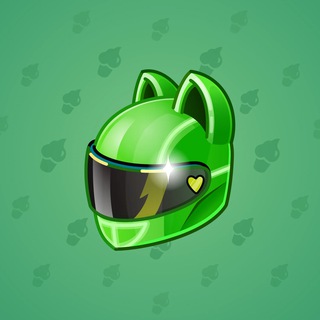 Neko Helmet #12685