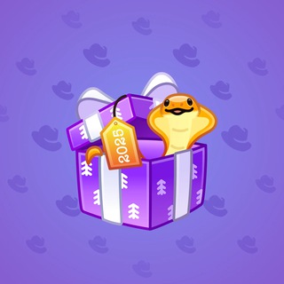 Snake Box #11880