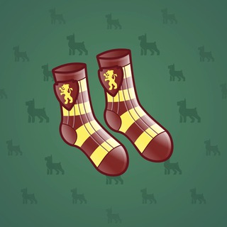 Fresh Socks #17023