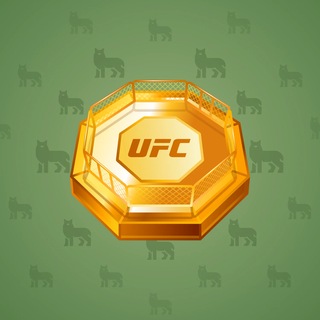 UFC Strike #19168