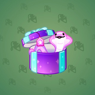 Snake Box #27993