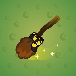 Flying Broom #6343