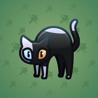 Scared Cat #13653
