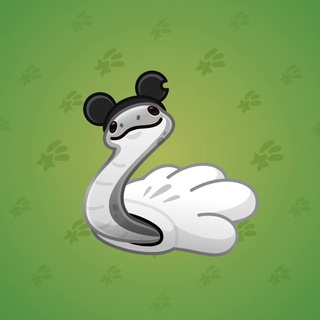 Pet Snake #19185