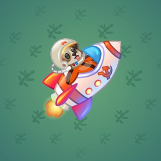 Stellar Rocket #48455