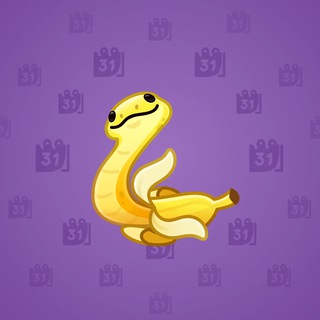 Pet Snake #23668