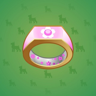 Signet Ring #14485