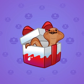 Snake Box #144673