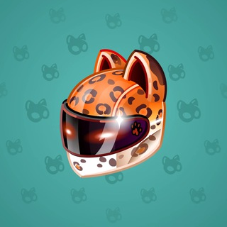 Neko Helmet #1942