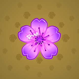Zap Aster