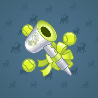 Ionic Dryer #10010