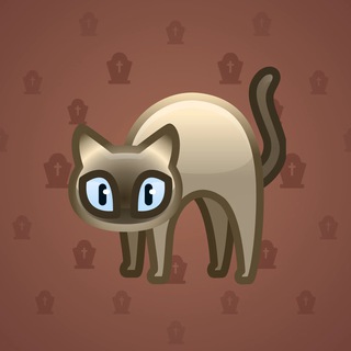 Scared Cat #14582