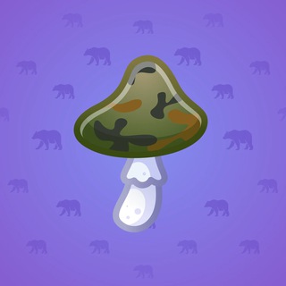Spy Agaric #46896