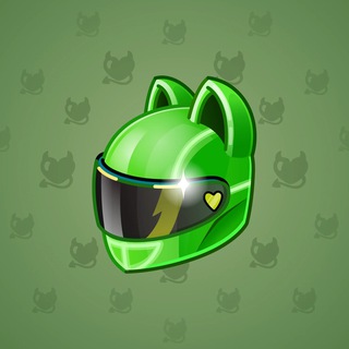 Neko Helmet #1243