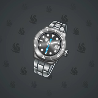 Swiss Watch #13844