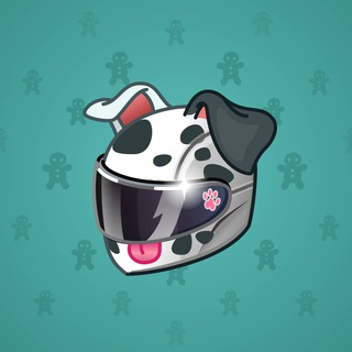 Neko Helmet #7628