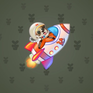 Stellar Rocket #24508