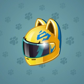 Neko Helmet #6612