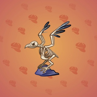 Rare Bird #5929